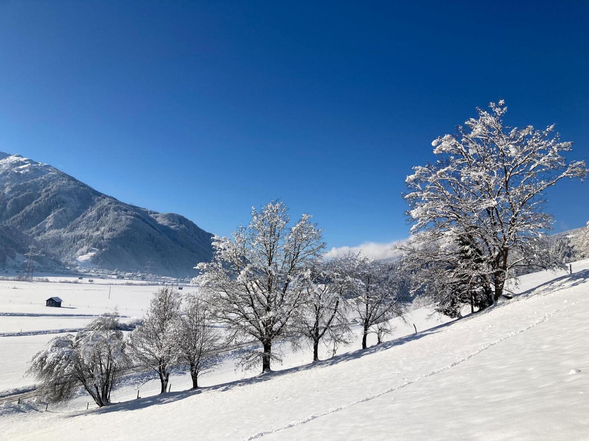 Holiday Apartment In Pinzgau With A Large Terrace ミッタージル エクステリア 写真
