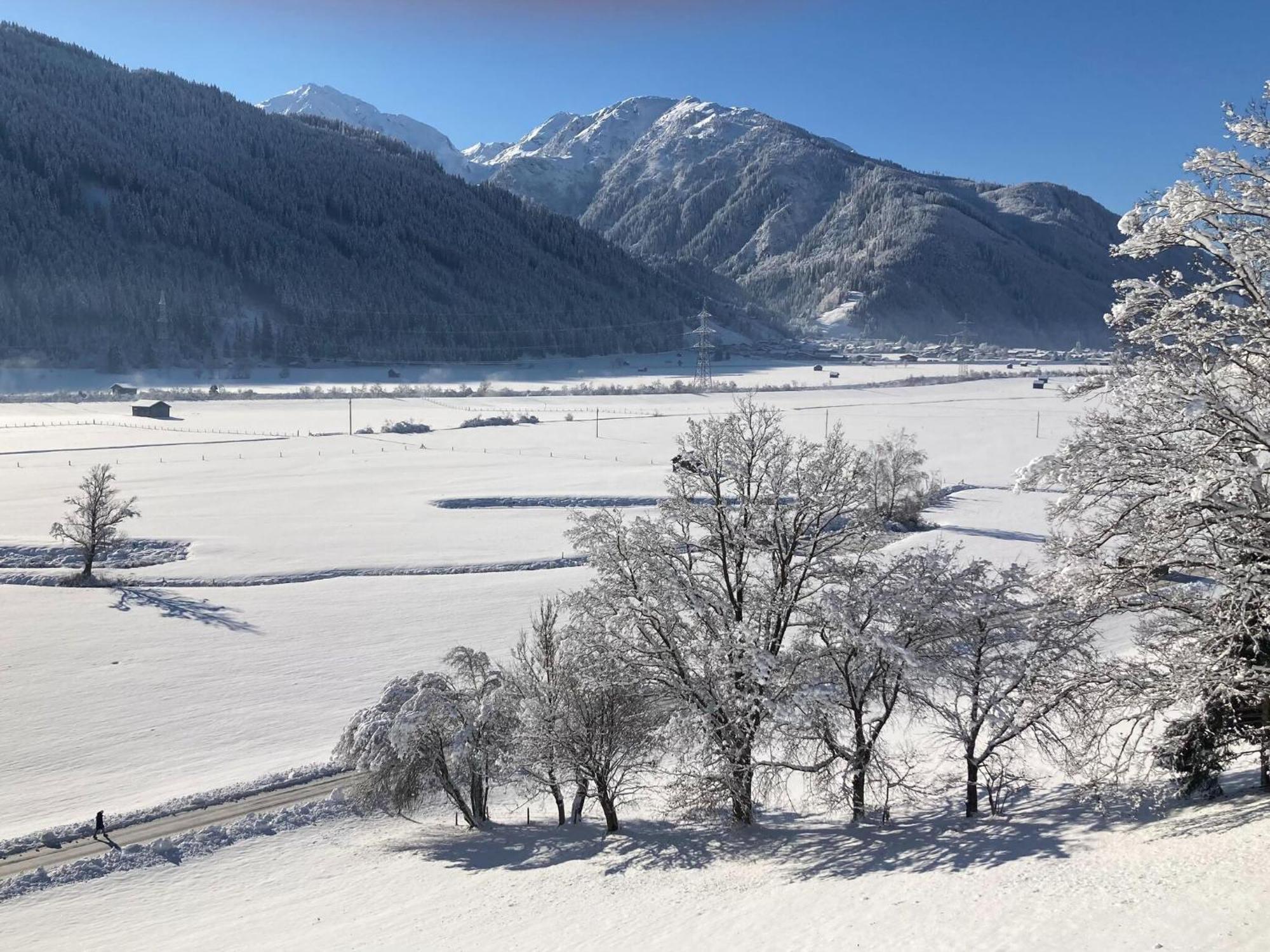 Holiday Apartment In Pinzgau With A Large Terrace ミッタージル エクステリア 写真